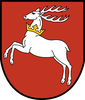Logotyp Samorządu Lubelskiego